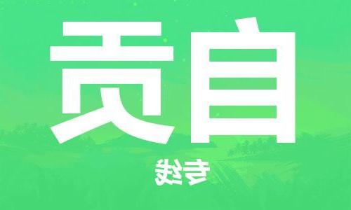 天津到自贡搬家公司|天津到自贡托运公司|长途搬家搬厂